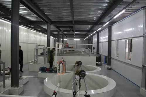 投資200多萬(wàn)，竹溪首家藕粉加工廠帶動(dòng)脫貧致富