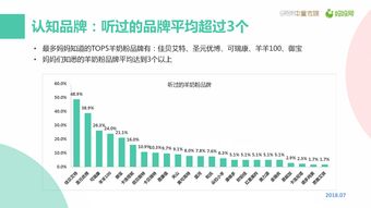 199it 中國(guó)互聯(lián)網(wǎng)數(shù)據(jù)服務(wù)的先驅(qū)與價(jià)值引擎